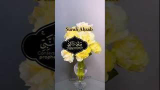 surah al ahzab emotional recitation world best quran tilawat beautiful voice [upl. by Ruder124]