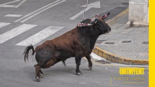 Toros con cuerda en la Comunidad Valenciana  Episodio 3 ▶ ONTINYENT [upl. by Mariam]