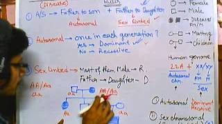 6 Pedigree analysis  autosomal recessive [upl. by Latsyek]