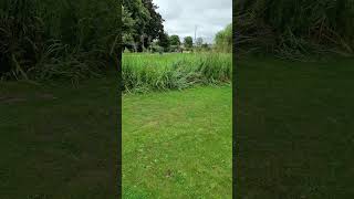 park parklife memory vlogger grass boatinglake gone walking [upl. by Orton832]