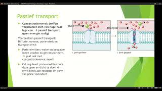 Klas 4 VWO Thema 1 Inleiding in de biologie basisstof 5 Transport door membranen deel 4 [upl. by Adlare]