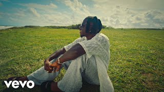 Stonebwoy  Into The Future Official Music Video [upl. by Carhart938]