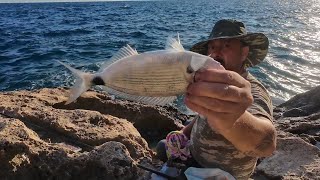 Antalya falezlerde kısa bir Melanur avı [upl. by Edina]