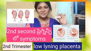 Low lyning placenta  placenta previa 2nd trimester in pregnancy viralvideo trending vlogs [upl. by Kevyn]