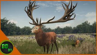 We Found Our Biggest Red Deer of All Time Call Of The Wild [upl. by Sandy990]