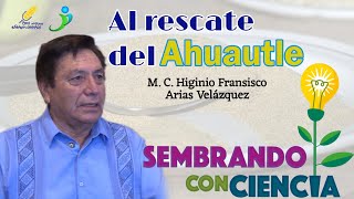 Ep 28 Al rescate del Ahuautle  M C Higinio Francisco Arias Velázquez [upl. by Benco274]