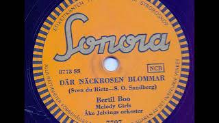 BERTIL BOO MELODY GIRLS  DÄR NÄCKROSEN BLOMMAR [upl. by Waldman]