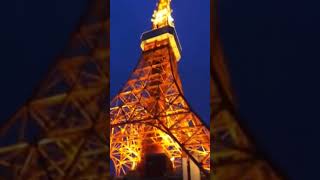 Tokyo Tower light upjapan tokyotower tokyonight beautifuljapan ytshorts youtubeshort [upl. by Nylaroc446]