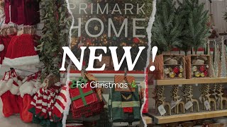 PRIMARK CHRISTMAS 2024 NEW COLLECTION IN PRIMARK CHRISTMAS ITEMS [upl. by Drarrej]