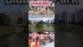 🇸🇬 journey into Woodleigh Bidadari Hawker  Park  Mall shorts [upl. by Danyette183]