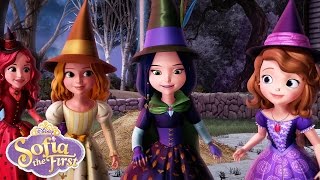 The Broomstick Dance  Music Video  Sofia the First  disneyjr [upl. by Malamut]