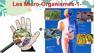 Les MicroOrganismes 13  3AIC [upl. by Tterag274]