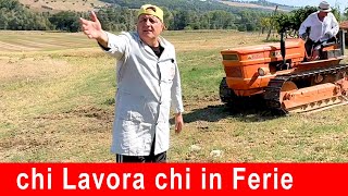 Chi Lavora Chi in Ferie contadino lavoro ferie [upl. by Steinberg]