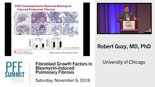 Fibroblast Growth Factors in Bleomycininduced Pulmonary Fibrosis  Robert Guzy MD [upl. by Pacifa]