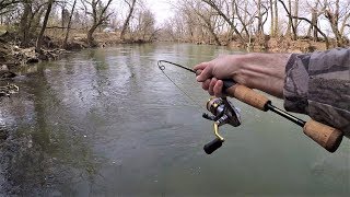 CREEK Fishing for Rainbow amp Brook TROUT with Spinners [upl. by Ceporah572]