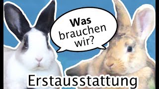 🐰 Kaninchen ERSTAUSSTATTUNG 💖Was braucht man für den Start 🐾 Wohnungshaltung [upl. by Fiedler]