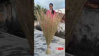 మన పల్లె పూతికలు చీపురు  village style broom broom cheepuru village ytshorts trendingshorts [upl. by Arimak]