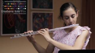 Hedwigs Theme  flute cover Brina Cerlini [upl. by Olimac]