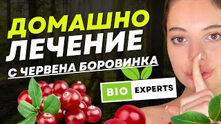 Натурално лечение на цистит с червена боровинка Домашно лечение на цистит [upl. by Erdnassac]