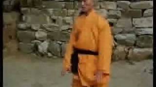 Documental  Demostración de las Habilidades Shaolin [upl. by Dlabihcra787]