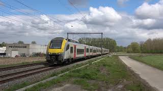 NMBS Desiro 8097 en 8143 komen aan in Terhagen [upl. by Eneres]