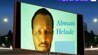 ABWAAN AXMED SHEEKH CALI HEELAALE GABAY [upl. by Yunick]