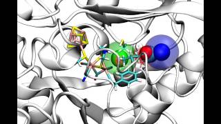 O2 access to the Hcluster of FeFe hydrogenase [upl. by Assanav]