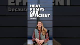 Electric Heat Pumps A Home Renovation Must Have ✨ [upl. by Yennek]