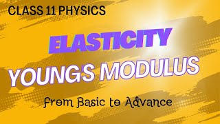 Understanding Youngs Modulus [upl. by Vyse136]