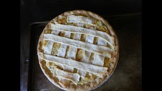 Deep South Life Easy amp Delicious Chicken Pot Pie Recipe [upl. by Nomael989]