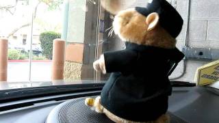 Hamster doing cops bad boys theme [upl. by Adnalohs]