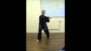 Tai chi Chuan Yang Style  Grasping the Sparrows Tail [upl. by Ellis916]