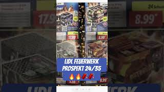 LIDL feuerwerk Prospekt 2425 shorts pyro [upl. by Yeoj]