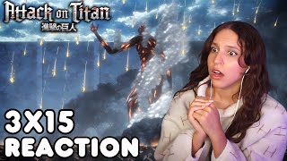 This World Is Just That Cruel  ATTACK ON TITAN  Reaction 3X15 [upl. by Itram]