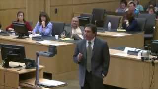 Jodi Arias Trial  Alyce Laviolette Death Penalty joke [upl. by Nichol]