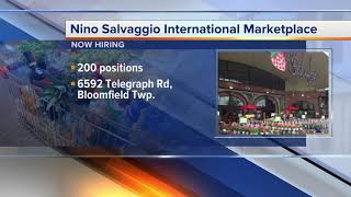 Nino Salvaggio Marketplace looking to fill 200 positions at Bloomfield Township store [upl. by Oratnek]