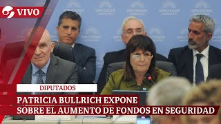 EN VIVO PATRICIA BULLRICH EXPONE SOBRE EL AUMENTO DE FONDOS EN SEGURIDAD [upl. by Ettelrahc397]