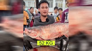 Amazing Cutting Skills  Giant Rohu Fish Cutting Skills By Expert Fish Cutter [upl. by Nwahsyar804]