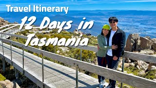 Travel Itinerary 12 Days in Tasmania Australia [upl. by Ennaear]