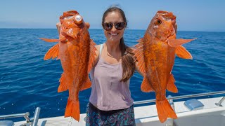 ROCKFISH from the DEEP Fishing in California Catch Clean amp Cook [upl. by Avot91]