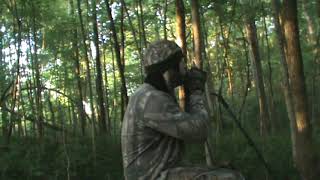 squirrel hunting with the primos squirrel buster squirrel call [upl. by Nyvek343]