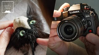 LUMIX GH6 meets Wakuneco  The process of making a felt cat portrait [upl. by Edaw]