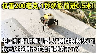 中國製造“蟑螂機器人”測試視頻火了！重200毫克，1秒就能前進05米，還帶攝像頭！網友：我已經控制不住拿拖鞋的手了！ [upl. by Ahselak670]