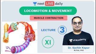 Locomotion amp Movement  Lecture 3  Unacademy NEET  LIVE DAILY  NEET Biology  Dr Sachin Kapur [upl. by Villada513]