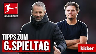 Bundesliga 6 Spieltag  Prognose Schlägt Marco Rose mit Leipzig den BVB  Das schnelle Orakel [upl. by Tadio]