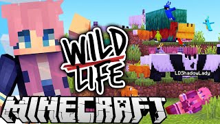 The WORST Best Day Ever  Ep 6  Wild Life [upl. by Ines407]