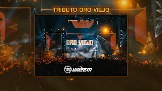 Tributo ORO VIEJO Musica que marco una época [upl. by Ordnael]