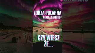 ❓Zorza Polarna Nad Polską CZY WIESZ ŻE❗❔zorza polarna aureora polska lubuskie fotografia tbd [upl. by Nhguavaj117]