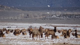 The San Luis Valley in the Rocky Mountains in Southern Colorado Costilla and Alamosa County [upl. by Atilef254]