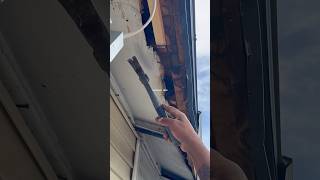 Soffit Repair 🧑‍🔧 soffit repair soffitrepair time diy homerenovation homeimprovement home [upl. by Waldman]